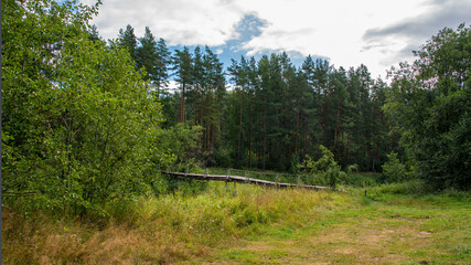 Landscape with forest river and old wooden bridge across the it.