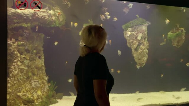 Woman traveller looking at a display in an aquarium