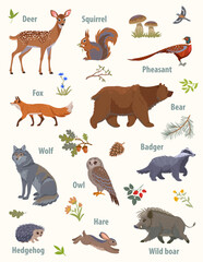set animals