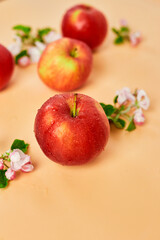 Apple flowers and ripe red apples flat lay on a pastel orange background, Fruits and flowers, sping concept. Top view