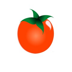 tomato illustration 