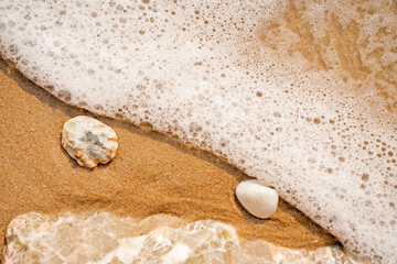 Soft waves with foam of ocean and white shells on the sandy beach background