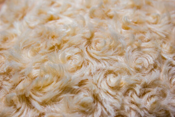 close up of sheep fur