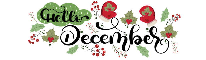 Hello December. DECEMBER month vector decoration with flowers and leaves. Illustration month December. Hello Winter   © Luchelle