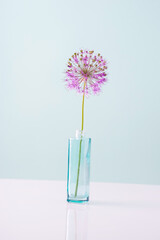 fingers of a female hand reach for a cosmetic white cream in a bottle on a white-blue background, minimal concept