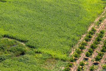 Kakheti view and landscape from the helicopter, Georgian nature beauty