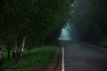 The road going into the fog. Forest road. Mystical landscape.