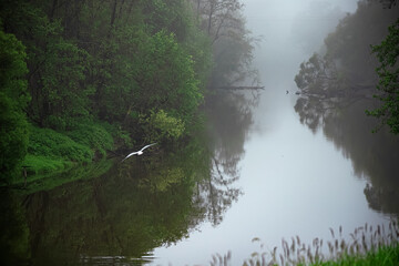 Morning fog over the river. A mystical place. Foggy landscape. Forest river.