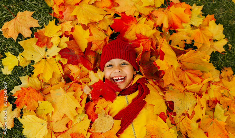 Wall mural a girl with a wide smile lies on a carpet of red and yellow leaves in an autumn park.