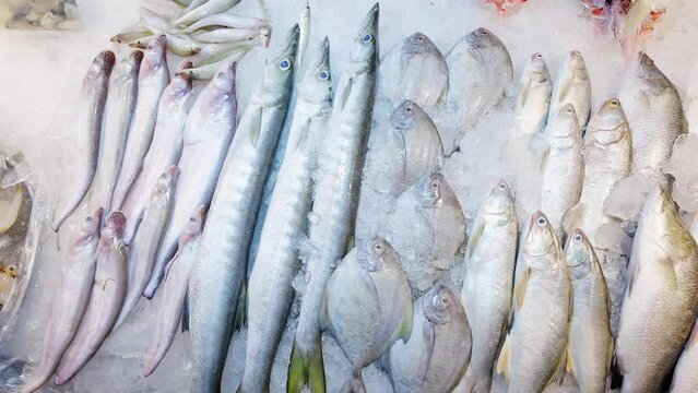 A selection of different fishes ( White snapper, Fresh silver pomfret fish, Whisker Sheaifish and many other fish ) on ice at the seafood section of the supermarket or fresh market.