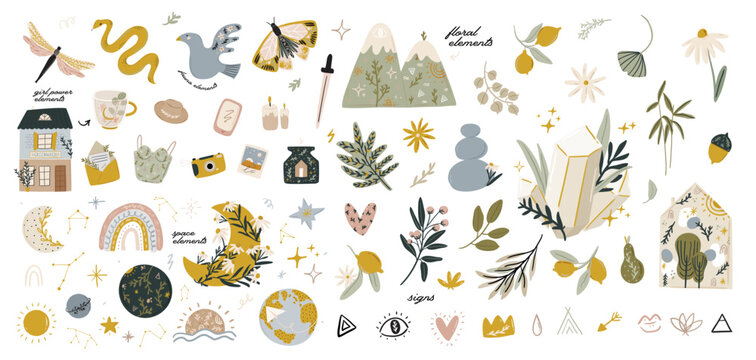 Abstract contemporary illustration with floral, fauna, moon, girls power elements. Trendy minimalist clip art with inspirational quote in scandinavian style, bohemian witch, magic mystery concept.