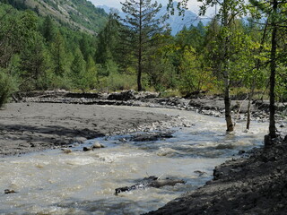 rivière après débordement avec boue séchée et arbres noyés