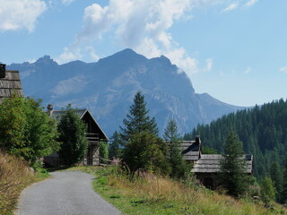 hameau de nareyroux, massif des écrins, bergeries et chalets d'alpage au milieu des mélèzes,...