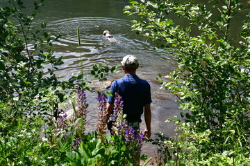 Ein Mann beobachten seinen Lagotto Romagnolo Hund in einem See schwimmen 