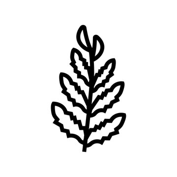 african water fern line icon vector. african water fern sign. isolated contour symbol black illustration