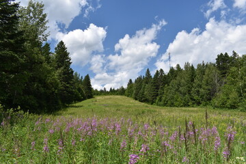 The recreation ground in summer, Sainte-Apolline, Qu&eacute;bec, Canada
