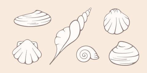Seashells vector flat illustration. Collection of hand drawn vector elements on pastel background. Best for textile, wallpapers, home decoration, wrapping paper, package and web design.