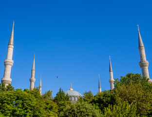 Fototapeta na wymiar Minarets and dome of the Blue Mosque on a sunny summer day