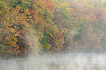 Foggy autumn landscape at dawn of the shoreline of Eagle Lake, Fort Custer State Park, Michigan, USA