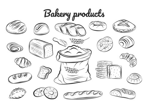 Bakery products. Types of bread. Vector. Graphics. Doodles. Linear, flat hand-drawn drawing. Used in magazines, signs, prints, and web design.