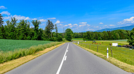 Fototapeta premium Rte de Forel, Puidoux, Schweiz 