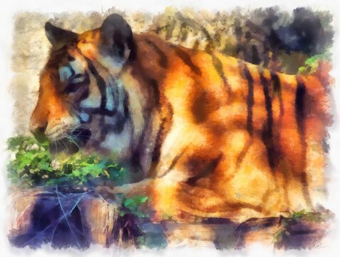 The tiger watercolor style illustration impressionist painting.