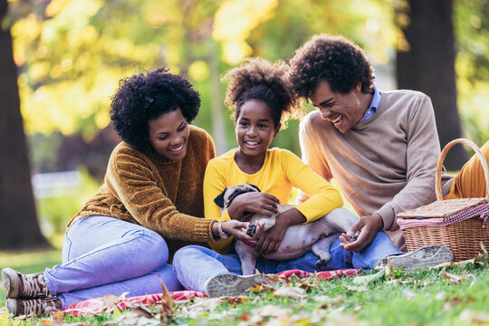 Beautiful young family lying on a picnic blanket with their dog, enjoying an autumn day in park