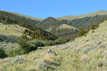 Fototapeta na wymiar Montana Mountain Landscape