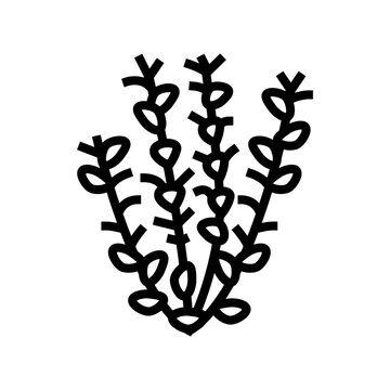 red ludwigia line icon vector. red ludwigia sign. isolated contour symbol black illustration