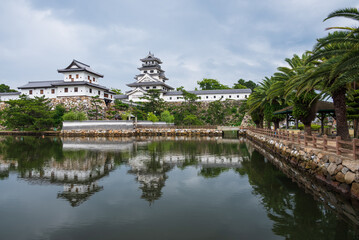 ヤシの木が立並ぶ南国の雄大で華麗な今治城