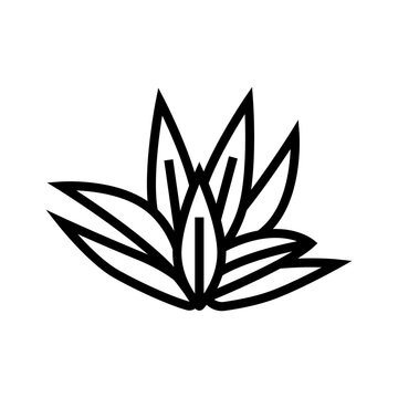 cryptocoryne wendttii line icon vector. cryptocoryne wendttii sign. isolated contour symbol black illustration