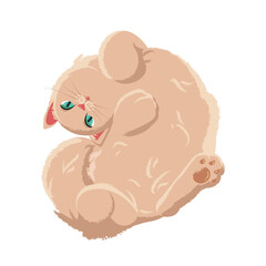 Vector illustration of cat lying on its back isolated on white background. Artwork for prints, cards, petshop, vet, cartoon.
