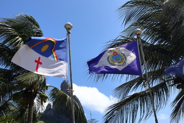 Pernambuco and Fernando de Noronha waving flags against a coconut palm and blue sky background.