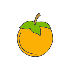 Khaki fruit icon in color, isolated on white background 