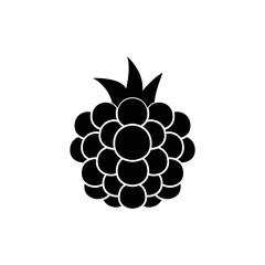 Blackberry fruit icon in black flat glyph, filled style isolated on white background