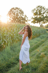 Delightful young woman in a white sundress in a field of green corn in the sunset light. Portrait of a beautiful model with dark long curly hair. Summer. Harvest. Eco.