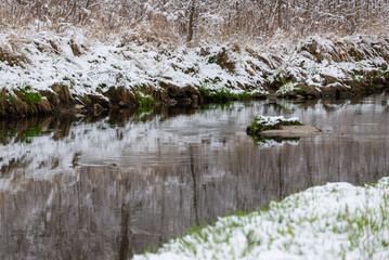 Bielsko-Biała, dopływ Wisły, wczesna wiosna, brzeg rzeki odbijający się w wodzie, śnieg, drzewa, woda, trawa (4). - obrazy, fototapety, plakaty