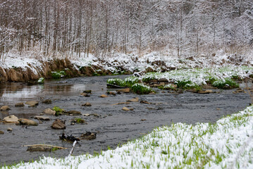 Bielsko-Biała, dopływ Wisły, wczesna wiosna, brzeg rzeki odbijający się w wodzie, śnieg, drzewa, woda, trawa (2). - obrazy, fototapety, plakaty