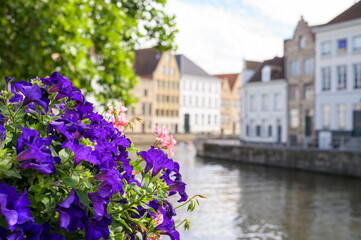 Fototapeta na wymiar Beautiful flowers near a canal in Brugge