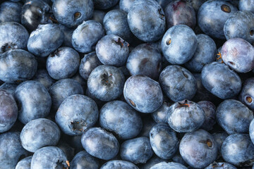 Fresh blueberries. Blueberry background. Focus concept
