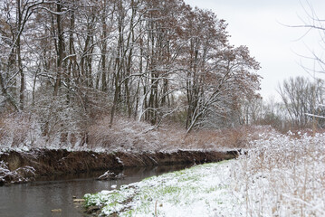 Bielsko-Biała, dopływ Wisły, wczesna wiosna, brzeg rzeki odbijający się w wodzie, śnieg, drzewa, woda (4). - obrazy, fototapety, plakaty