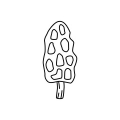 Morel  icon in line style icon, isolated on white background