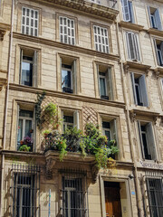 Fototapeta na wymiar facade with plants