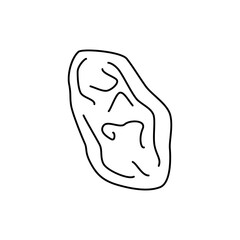 Raisins icon in line style icon, isolated on white background