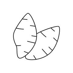 Sweet potato icon in line style icon, isolated on white background