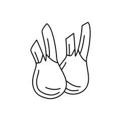 Fennel icon in line style icon, isolated on white background