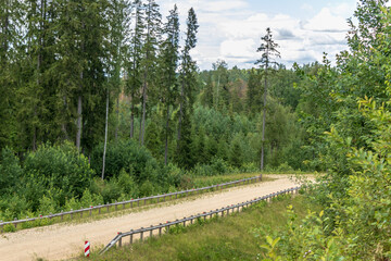 forest gravel road with barriers, a view of spruce forest trees, ditch, long grass and blue sky...