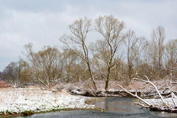 Bielsko-Biała, dopływ Wisły, wczesna wiosna, brzeg rzeki odbijający się w wodzie, śnieg, drzewa, woda (2). - obrazy, fototapety, plakaty