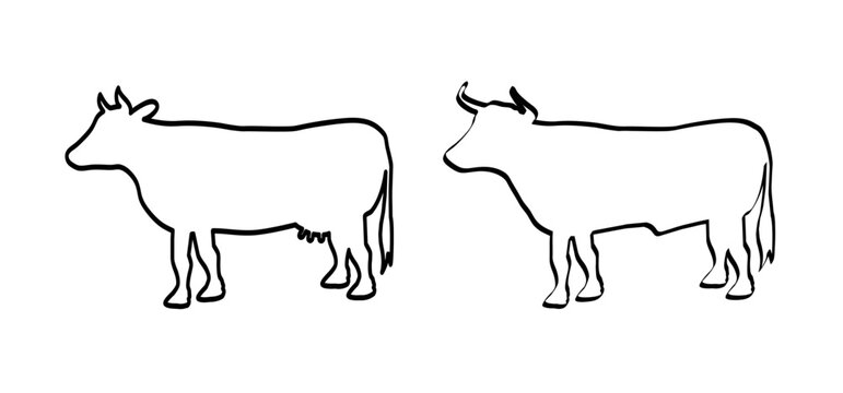 Cartoon drawing black cow and taurus or bull. Vector cow silhouette. farm animals. Cattle icon or pictogram. Line pattern
