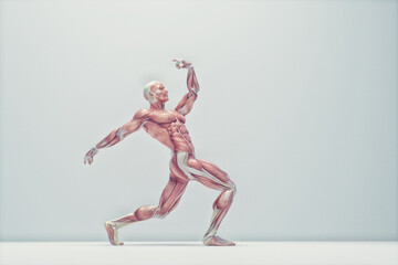 Fototapeta na wymiar Male muscular system posing on background. Fitness and healthy lifestyle concept.